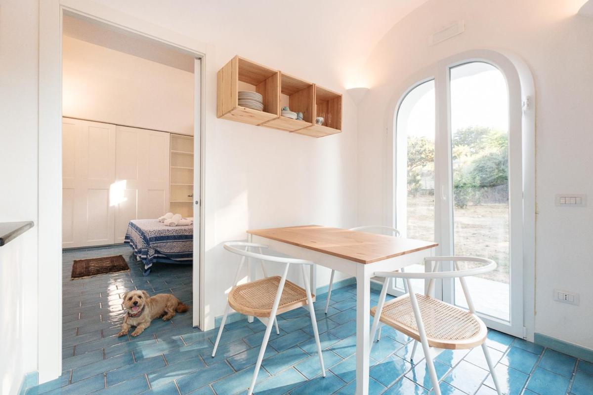 La Rosa Dei Venti Aparthotel Procida Kültér fotó