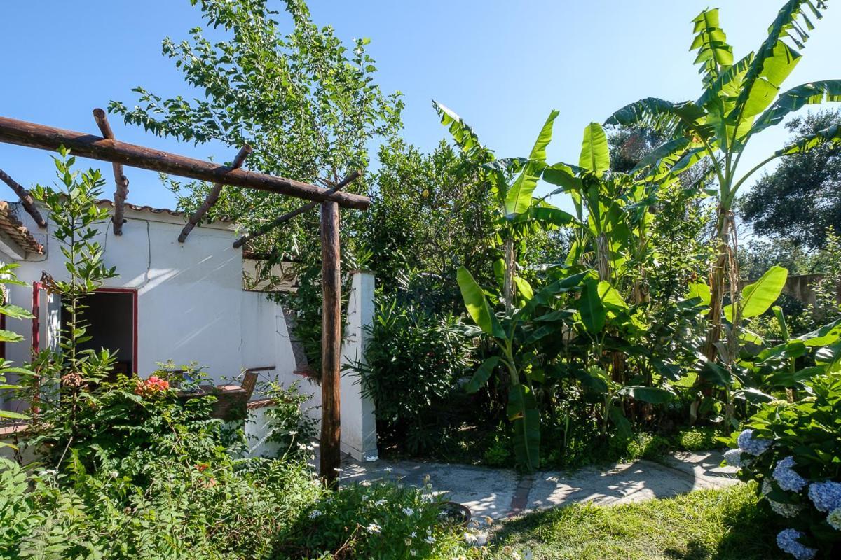 La Rosa Dei Venti Aparthotel Procida Kültér fotó