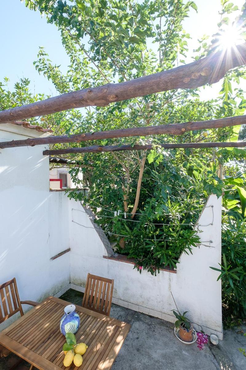 La Rosa Dei Venti Aparthotel Procida Kültér fotó