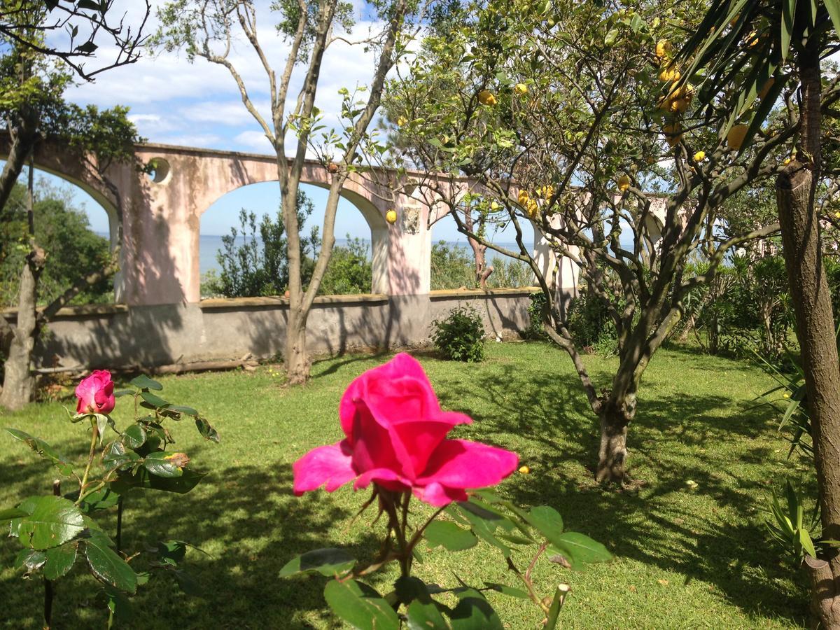 La Rosa Dei Venti Aparthotel Procida Kültér fotó